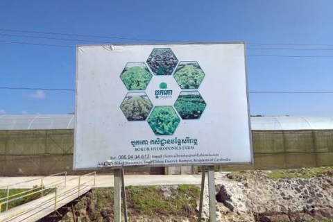 bokor-hydroponics-farm1