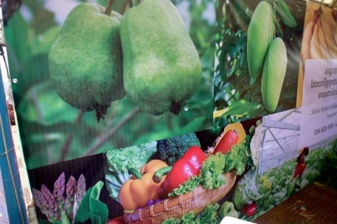 bokor-hydroponics-farm11