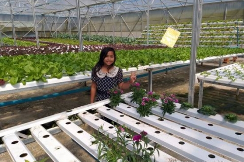 bokor-hydroponics-farm16