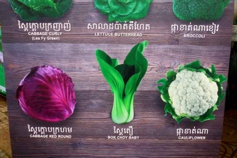 bokor-hydroponics-farm2