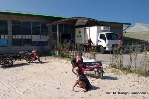 bokor-hydroponics-farm2