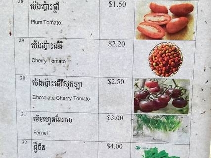 bokor-hydroponics-farm23