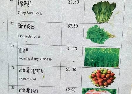 bokor-hydroponics-farm24