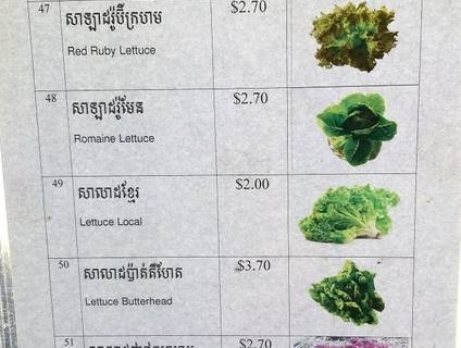 bokor-hydroponics-farm25