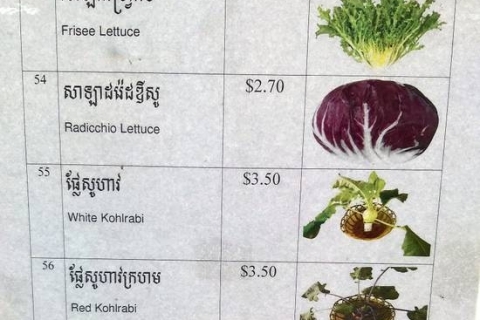 bokor-hydroponics-farm26