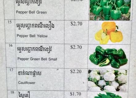 bokor-hydroponics-farm27