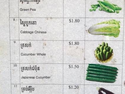 bokor-hydroponics-farm29