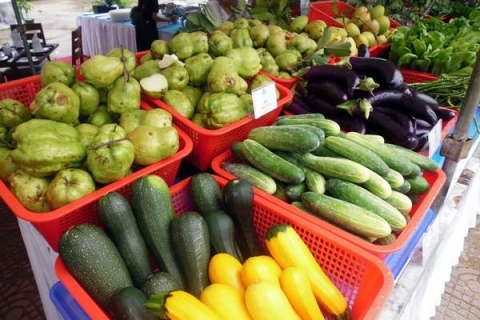 bokor-hydroponics-farm3