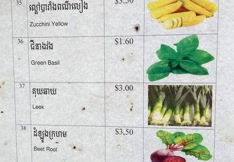 bokor-hydroponics-farm31