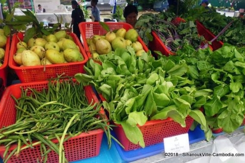 bokor-hydroponics-farm4