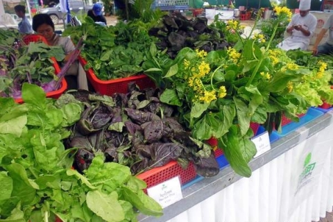 bokor-hydroponics-farm5