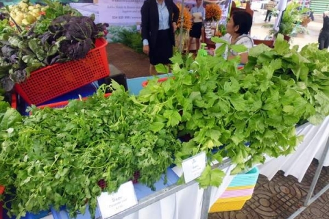 bokor-hydroponics-farm6