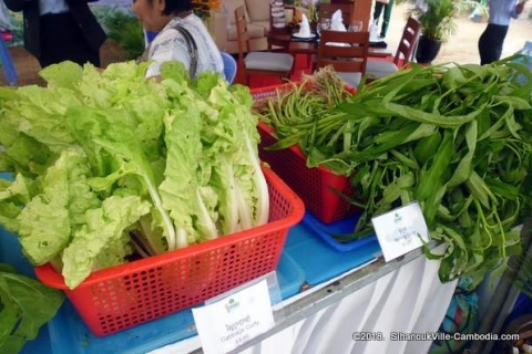 bokor-hydroponics-farm7