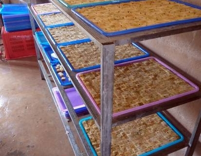 bokor-hydroponics-farm8