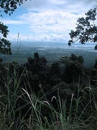 landscapebokor1