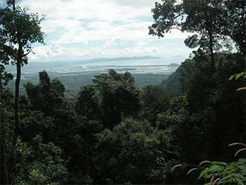 landscapebokor3