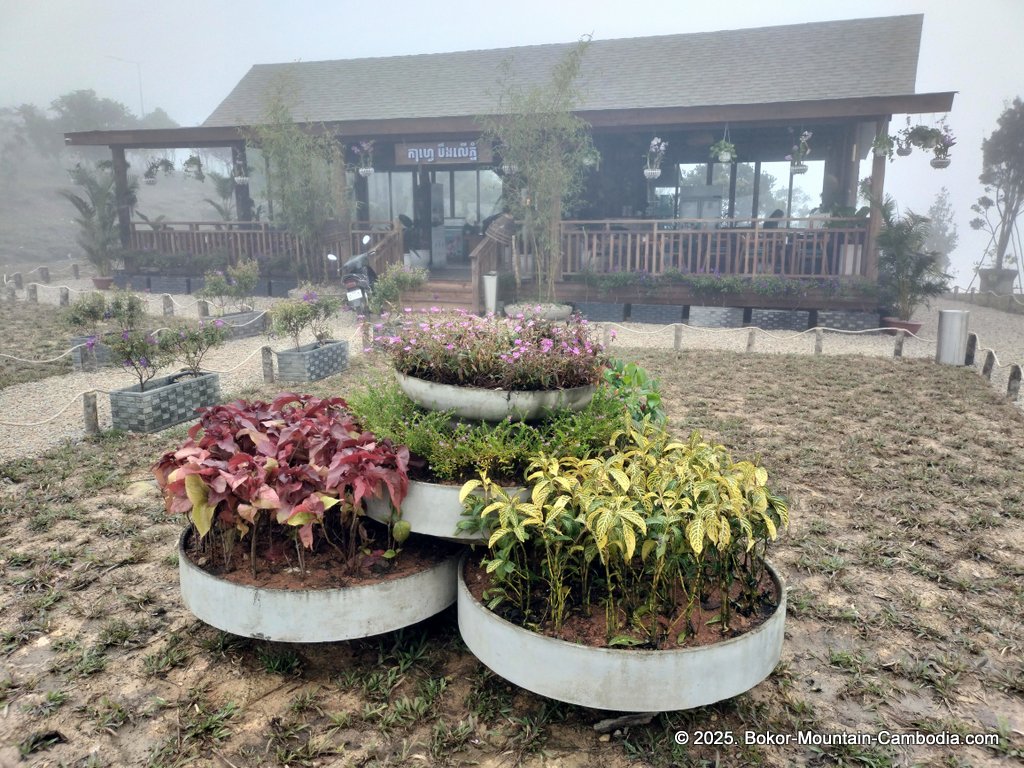 Mountain Lake Coffee on Bokor Mountain in Kampot, Cambodia.