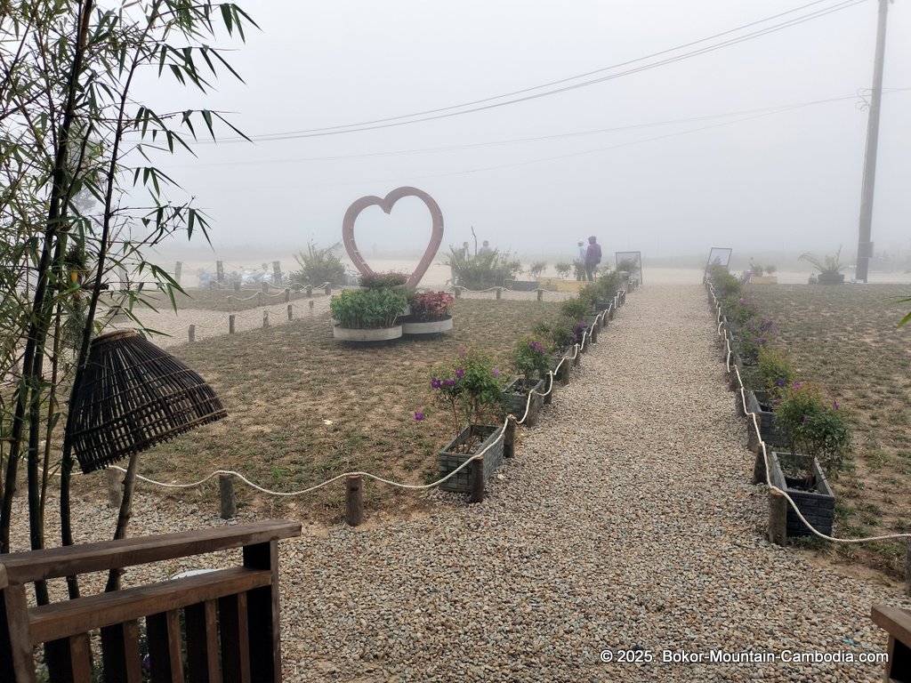 Mountain Lake Coffee on Bokor Mountain in Kampot, Cambodia.