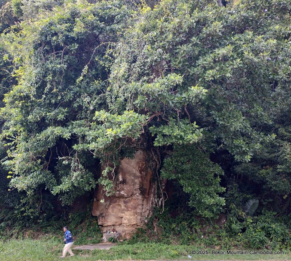Tmaw Muk Yeak Cafe on Bokor Mountain in Cambodia