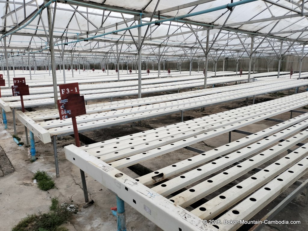 bokor hydroponics